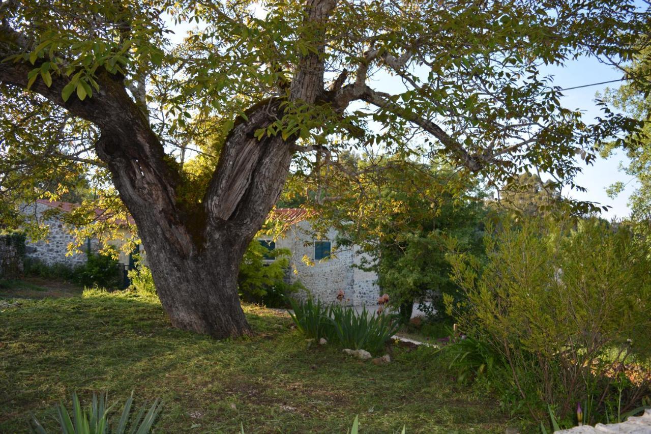 Casa Da Pedra Villa อันเซียว ภายนอก รูปภาพ